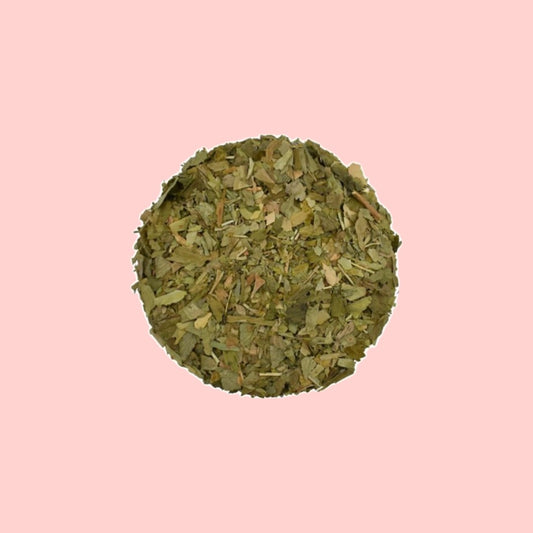 Ginkgo Biloba