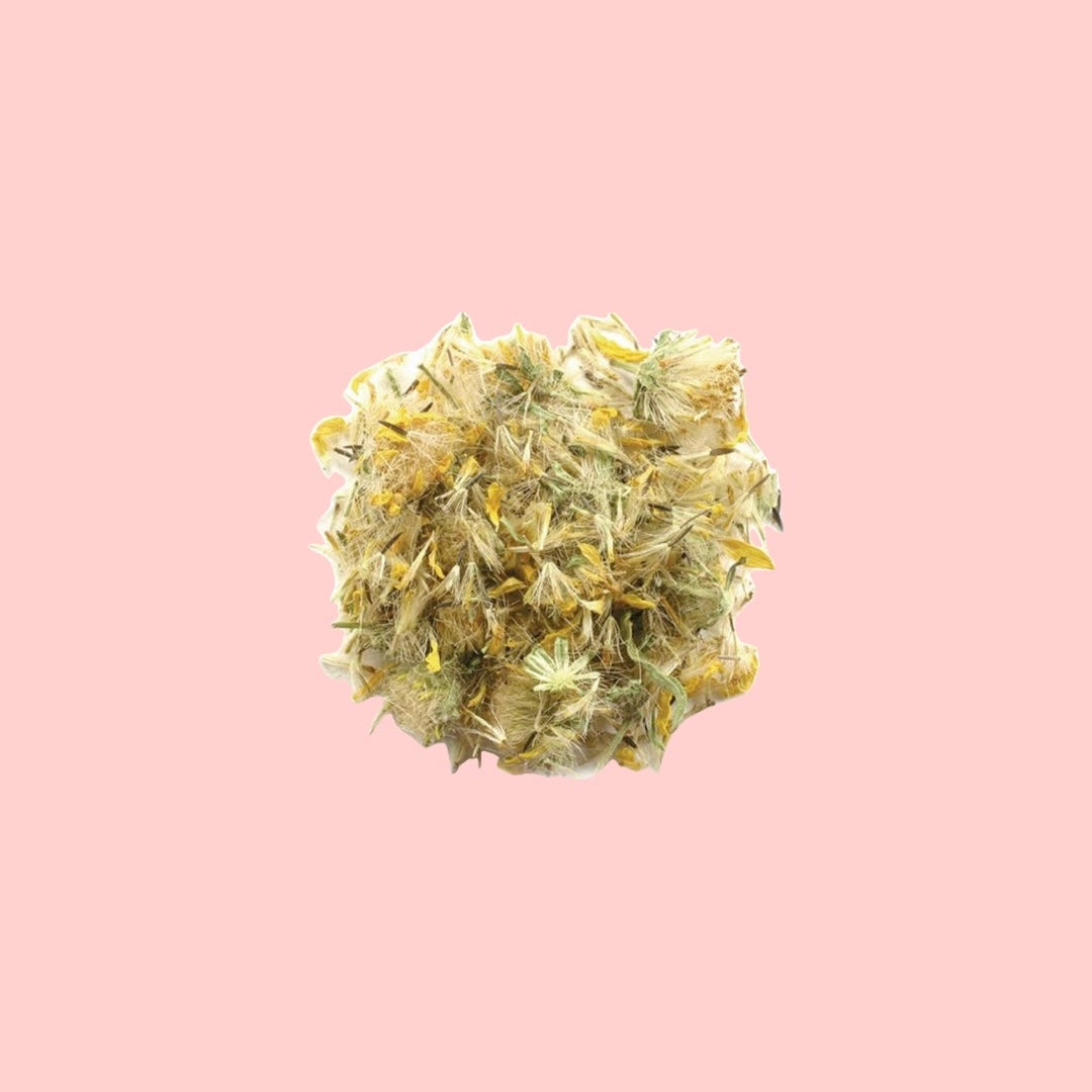 Arnica