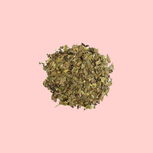 Uva Ursi